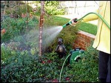 Garden Hose Reel 12 mm